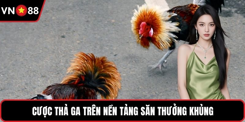 Cược thả ga trên nền tảng săn thưởng khủng