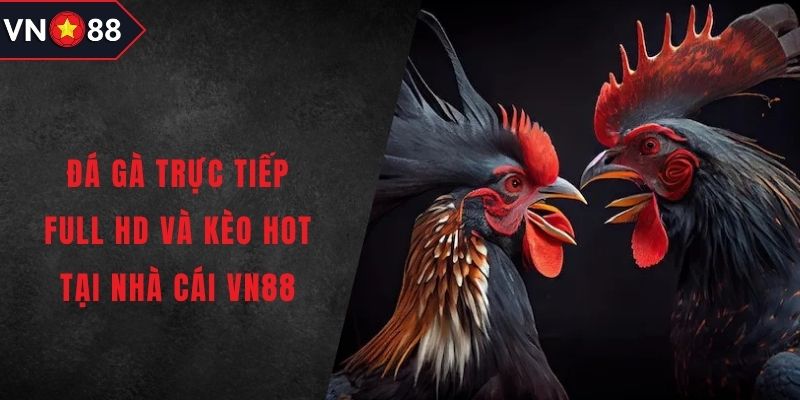Đá gà trực tiếp