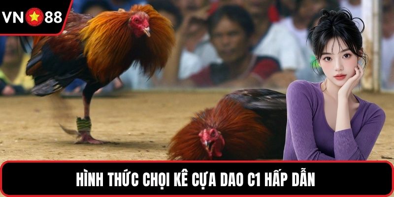 Hình thức chọi kê cựa dao C1 hấp dẫn