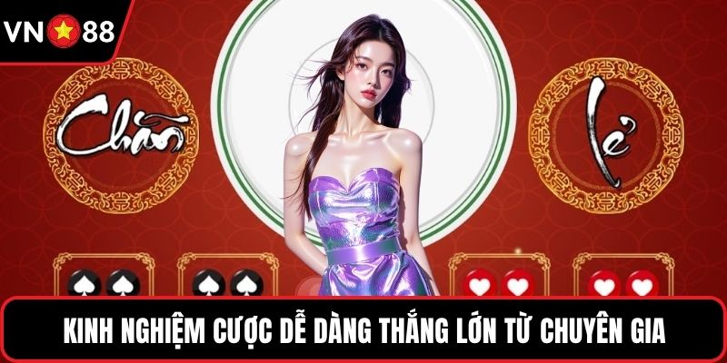 Kinh nghiệm cược dễ dàng thắng lớn từ chuyên gia