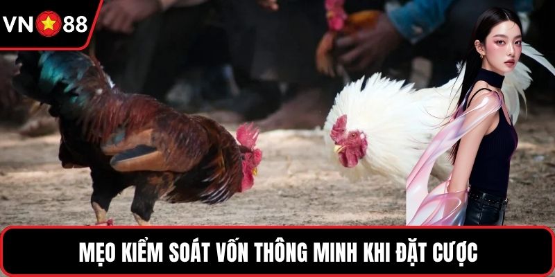 Mẹo kiểm soát vốn thông minh khi đặt cược