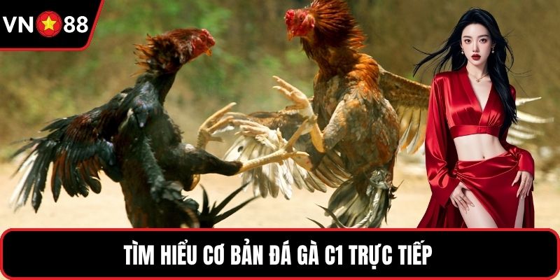 Tìm hiểu cơ bản đá gà C1 trực tiếp