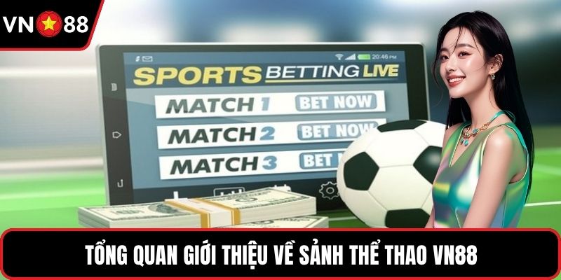 Tổng quan giới thiệu về sảnh thể thao VN88